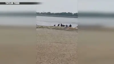 2 swimmers hospitalized in critical condition after being pulled from water at Plum Island Point