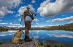 7 pet-friendly Colorado hotels for your next getaway or roadtrip